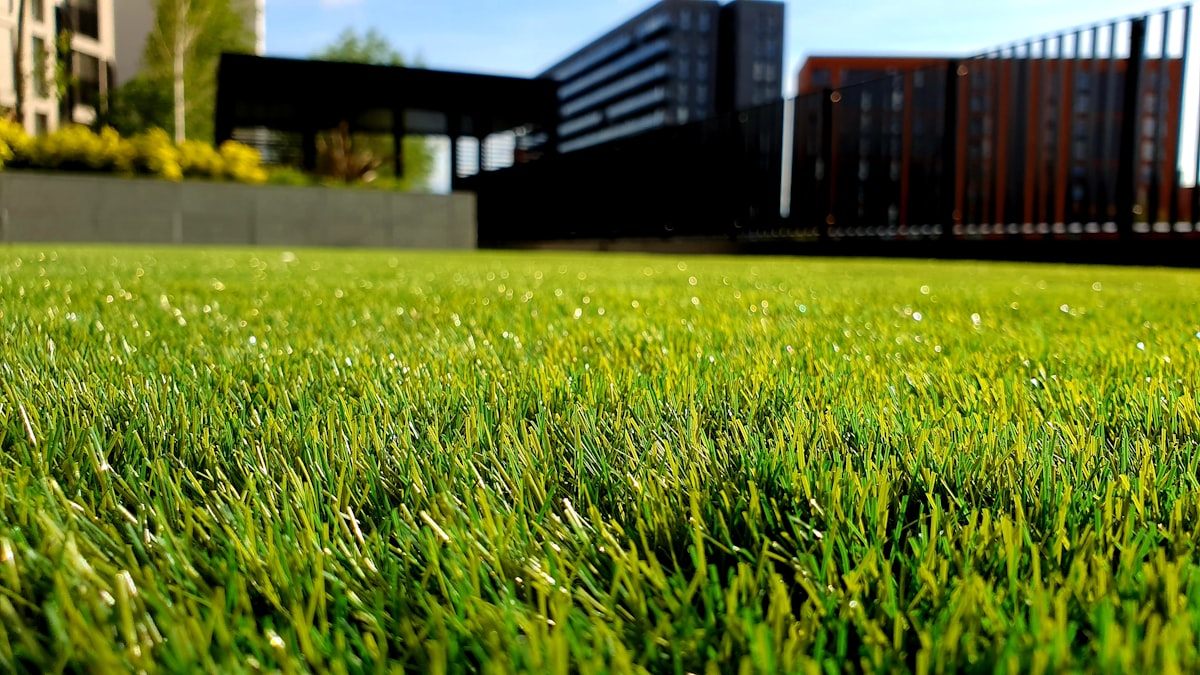 Beautifully landscaped property by Mackay's Landscaping